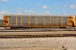 TTGX 962534